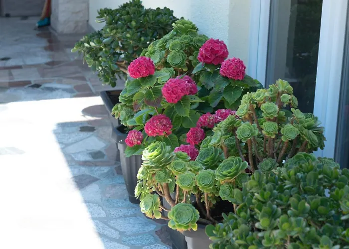 Lucija 1 By Guide 크리크베니카